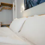 The Layhead